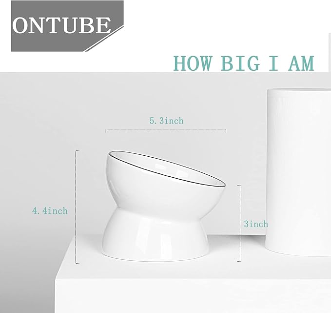 ONTUBE Ceramic Raised Cat Dishes Bowl, Pet Food Bowls,5.3 Inch 10 oz (White)