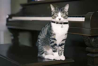 Khaki XXS Dog Collar with Bell, Soft Pu Leather Cat Collars Adjustable Buckle for XS Extra Small Medium Tiny Female Male Boys Girls Pets Puppy Kitten Teacup Yorkie XX-Small