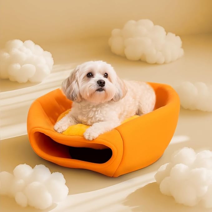 Cute Cat Beds for Indoor Cats, Small Dog Beds, Soft Washable Pet Beds for Kitten and Puppy, Funny Orange Cat Cave, 19 Inches