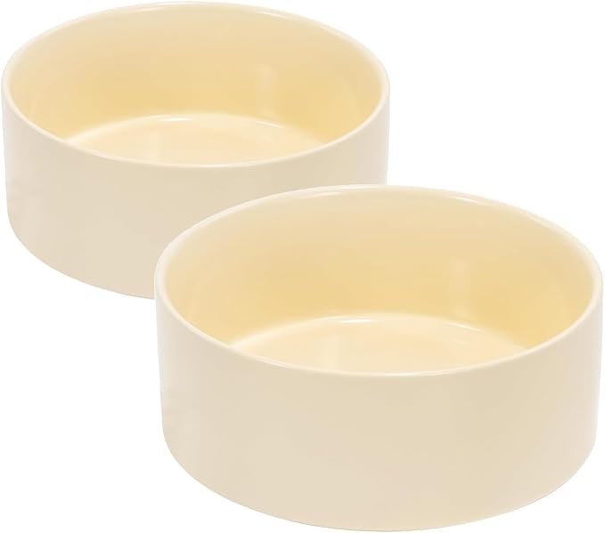 SPUNKYJUNKY 42OZ Ceramic Dog and Cat Bowl, Modern Cute Weighted Food Water Bowl for Replacement Beige (2 Pack)