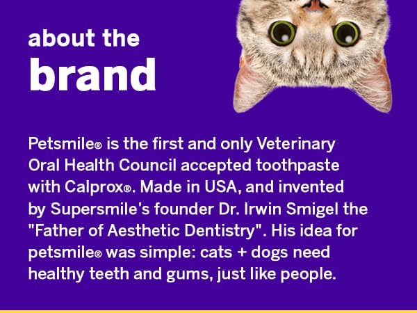 Petsmile Professional Pet Toothpaste for Cats & Dogs - Only VOHC Accepted Toothpaste - Clinically Proven to Control Plaque & Tartar Calprox Formula (London Broil, 2.5 Oz)