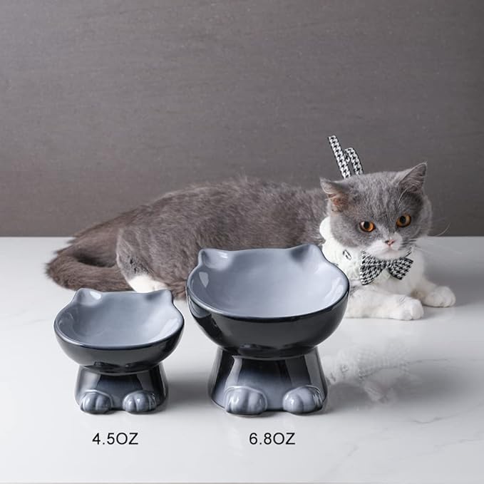 Nihow Elevated Cat/Dog Bowls: 6.25 Inch Ceramic Raised Cat Food & Water Bowl Set for Protecting Pet's Spine - Feeding & Watering Supplies for Cat/Small Size Dog - Elegant Gray (6.8 OZ /1 PC)