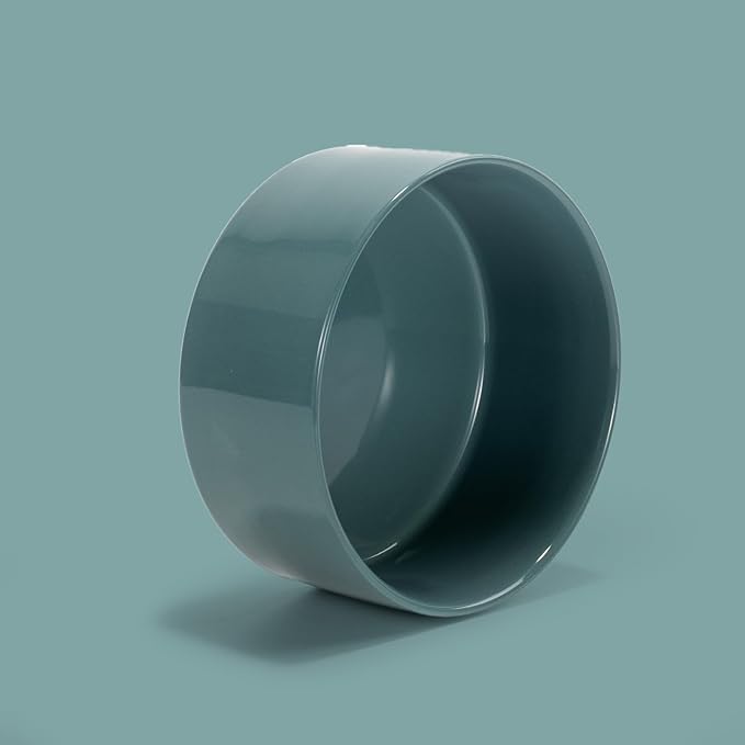 SPUNKYJUNKY 28.7OZ Ceramic Dog and Cat Bowl, Modern Cute Weighted Food Water Bowl for Replacement Light Green (2 Pack)