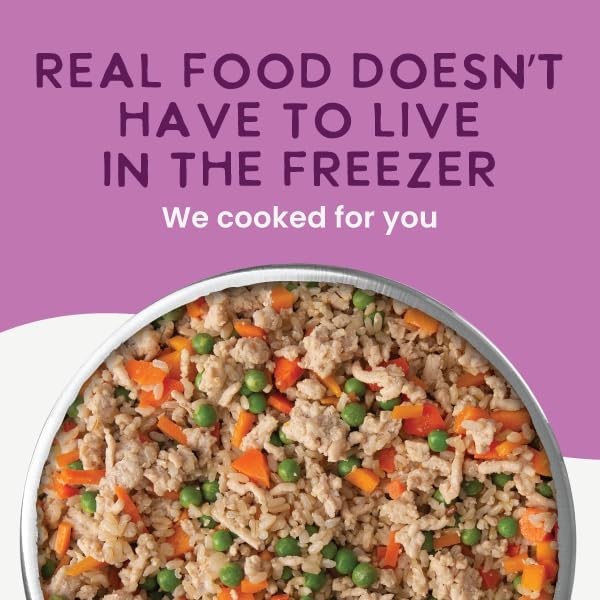 Health Extension Gently Cooked Chicken & Pumpkin Dog Food, Human-Grade & Shelf-Stable with Superfoods, Supports Digestion, Immunity, Skin & Coat, 9 oz Pouch (Pack of 1)