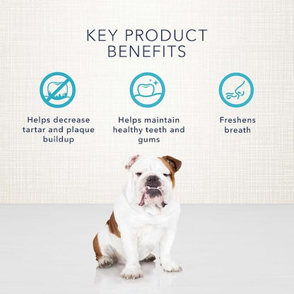 Blue Buffalo Dental Bones Large Natural Dental Chew Dog Treats Bag Jumbo Pack