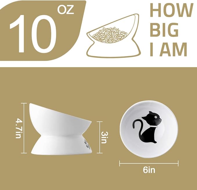 Sweejar Ceramic Raised Cat Bowls, Slanted Cat Dish Food or Water Bowls, Elevated Porcelain Pet Feeder Bowl Protect Cat's Spine, Stress Free, Backflow Prevention(White)