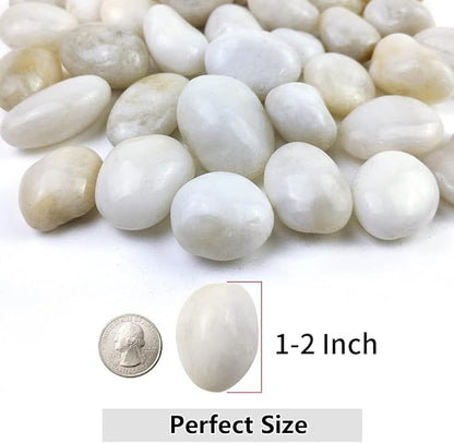 10lbs White River Rocks, 1-2 Inch Natural Pebbles for Indoor Plants, High Polished Decorative Stones Vase Filler Fish Tank Aquariums Landscaping Garden Outdoor and Indoor DIY