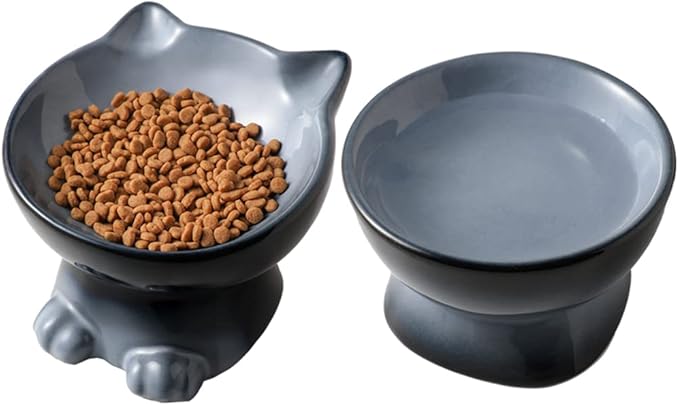 Nihow Elevated Cat/Dog Bowls Set : 6.2 Inch Ceramic Raised Cat Food & Water Bowl Set for Protecting Pet's Spine - Feeding & Watering Supplies for Cat/Small Size Dog - Elegant Gray(2PC)