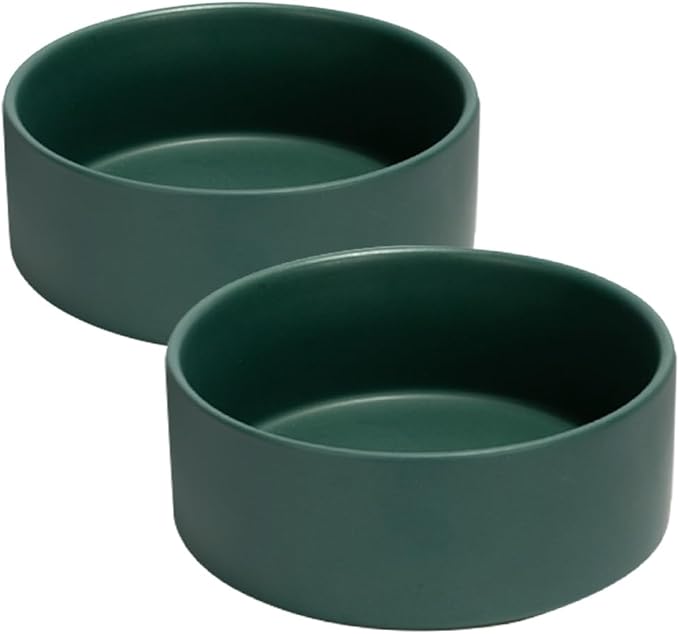 SPUNKYJUNKY 13.5OZ Ceramic Dog and Cat Bowl, Modern Cute Weighted Food Water Bowl for Replacement Green (2 Pack)