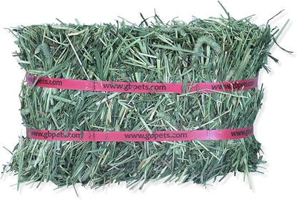 Grandpa's Best Timothy Hay Mini Bale, 10 Lbs (Packaging may vary),Brown