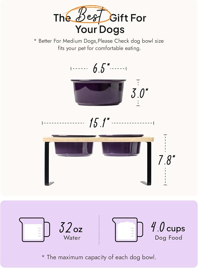 Elevated Dog Bowls, Raised Dog Bowl Stand with Two 6.5 inch Ceramic Bowl, Non-Slip Puppy Food and Water Bowls, Dogs Feeder for Small and Medium Breed,Purple