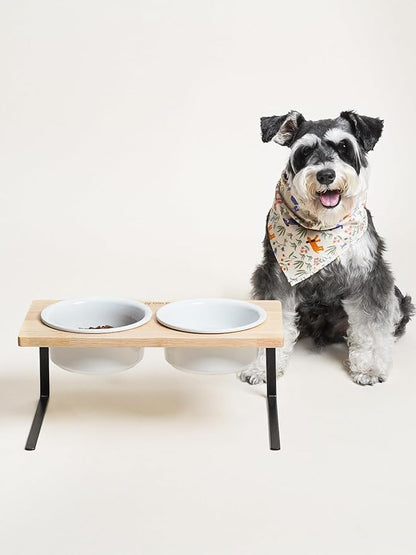 Elevated Dog Bowls, Raised Dog Bowl Stand with Two 6.5 inch Ceramic Bowl, Non-Slip Puppy Food and Water Bowls, Dogs Feeder for Small and Medium Breed, White