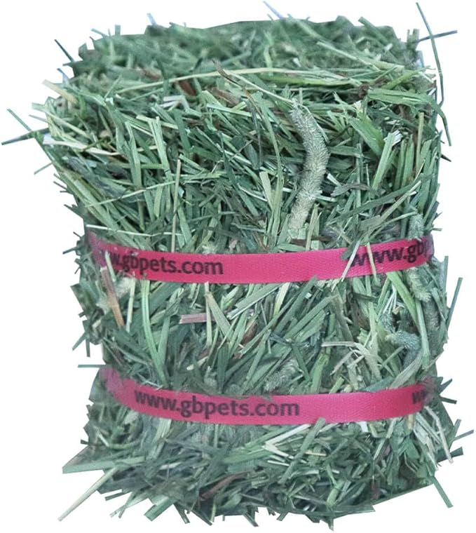 Grandpa's Best Timothy Hay Mini Bale, 10 Lbs (Packaging may vary),Brown