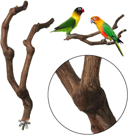 kathson Natural Parrot Perch Bird Stand Pole Wild Grape Stick Paw Grinding Fork Parakeet Climbing Standing Branches Toy Chewable Cage Accessories for Small Budgies Cockatiels Lovebirds 3PCS