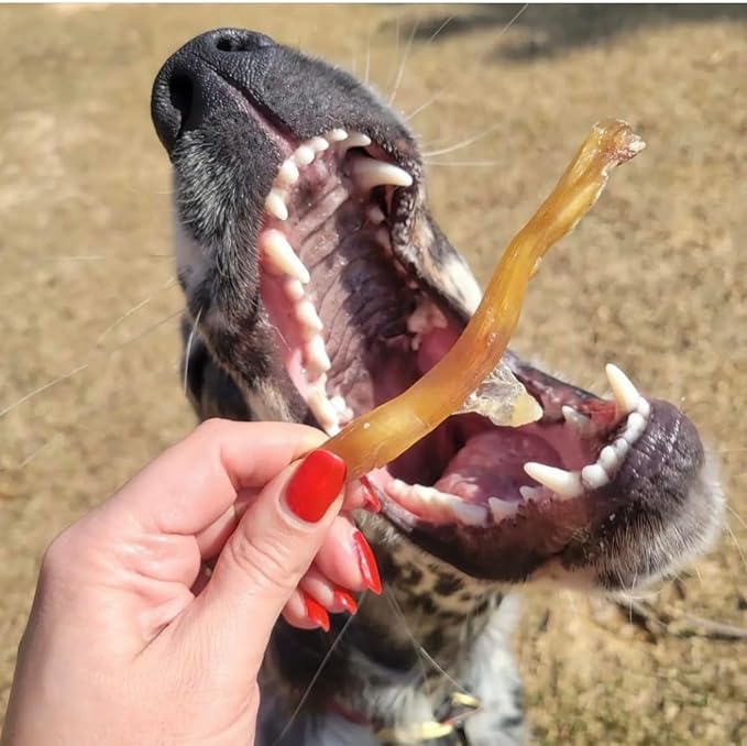 Beef Tendons for Dogs. USA Made, Grass Fed, All Natural Dental Chews. Grain Free, Odor Free (8 OZ)