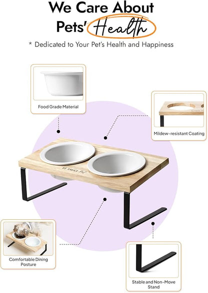 Elevated Dog Bowls, Raised Dog Bowl Stand with Two 5.1 inch Ceramic Bowls, Non-Slip Cat Food and Water Dish for Small and Medium Breed, White