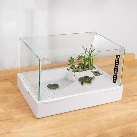 BETAZOOER Turtle Tank with Adjustable Water Pump Filter, Full View Visually Tortoise Aquarium Habitat, Glass Material Easy Changing Water&Clean for Small Amphibious Creatures Reptiles (23"×13.5"×10")