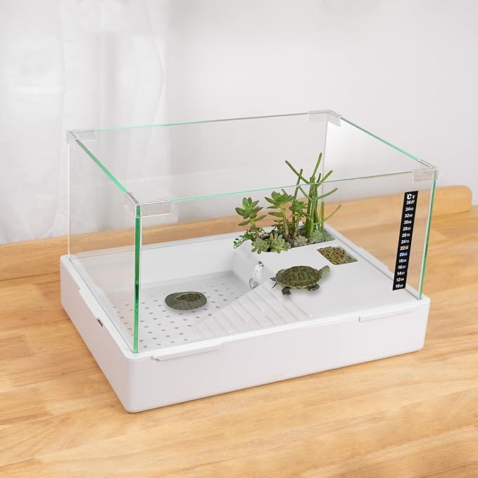 BETAZOOER Turtle Tank with Adjustable Water Pump Filter, Full View Visually Tortoise Aquarium Habitat, Glass Material Easy Changing Water&Clean for Small Amphibious Creatures Reptiles 15.7"×11.8"×10"