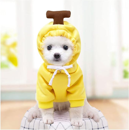 Warm Dog Winter Clothes Cute Fruit Dog Coat Hoodies Fleece Pet Dogs Costume Jacket for French Bulldog Chihuahua Ropa para Perro(Yellow,XXL)