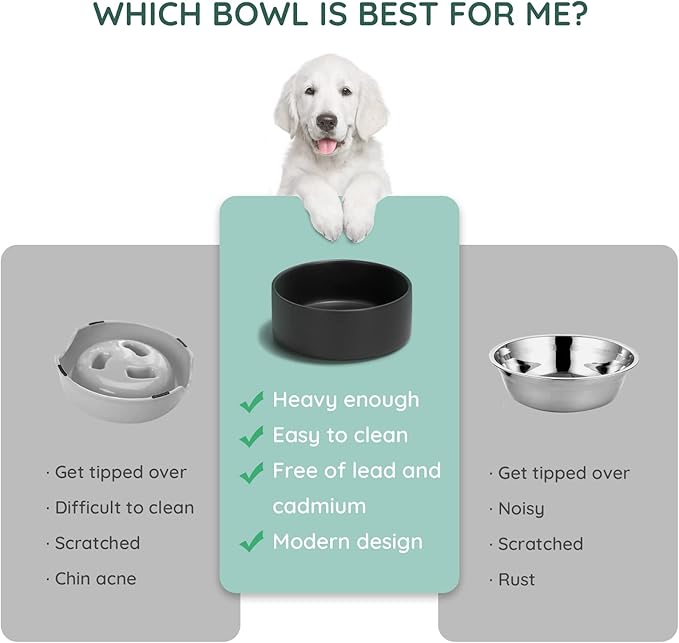 SPUNKYJUNKY 13.5OZ Ceramic Dog and Cat Bowl, Modern Cute Weighted Food Water Bowl for Replacement Black (1 Pack)