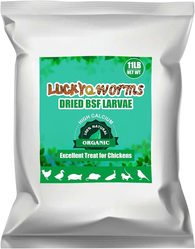 Dried Black Solidier Fly Larvae 11LBS, 85X More Calcium Than Mealworms High-Protein BSF Larvae Chicken Treats Non-GMO BSFL for Chickens, Hens, Ducks, Wild Birds