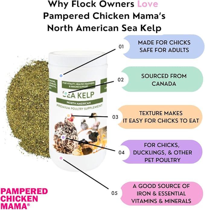 Kelp for Chickens & Duck Feed (1 Pound): Chicken Vitamins | Chicken Supplements | Vitamins for Chickens | Pampered Chicken Mama