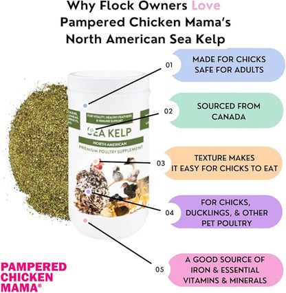 Kelp for Chickens & Duck Feed (1 Pound): Chicken Vitamins | Chicken Supplements | Vitamins for Chickens | Pampered Chicken Mama