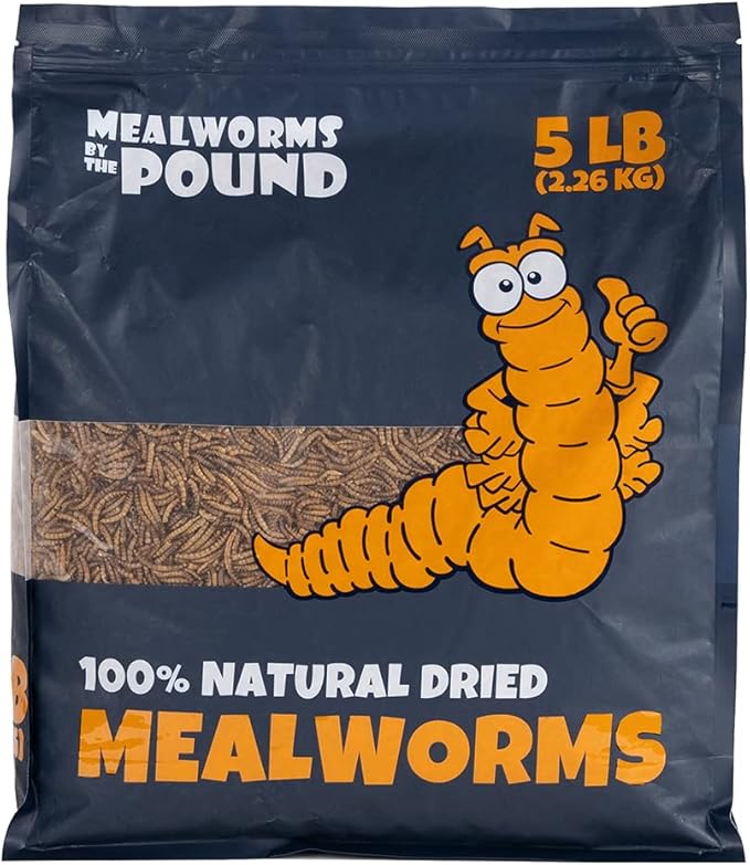MBTP Bulk Dried Mealworms - Treats for Chickens & Wild Birds (5 Lbs)