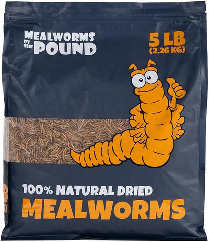 MBTP Bulk Dried Mealworms - Treats for Chickens & Wild Birds (5 Lbs)