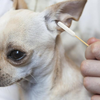 100 Pcs Long Cotton Swab for Dogs Ears – 6-Inch Long Cotton Swab with Bamboo Handle for Dog Ear Cleaning, Pet Wound Care, Makeup Touch Ups, Craft Projects, and Cleaning Electronics