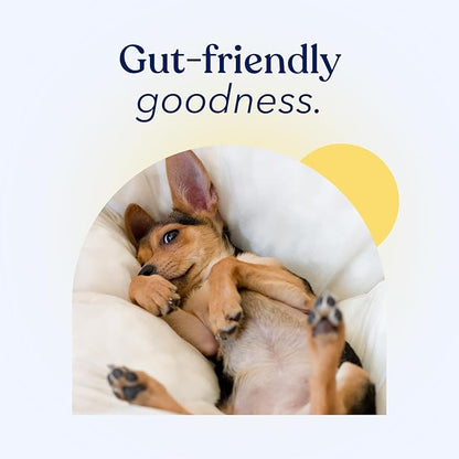 Honest Paws Probiotics for Dogs - Digestive & Immune Support Powder with Prebiotic Made in The USA, Chicken Flavor (30 Sticks)