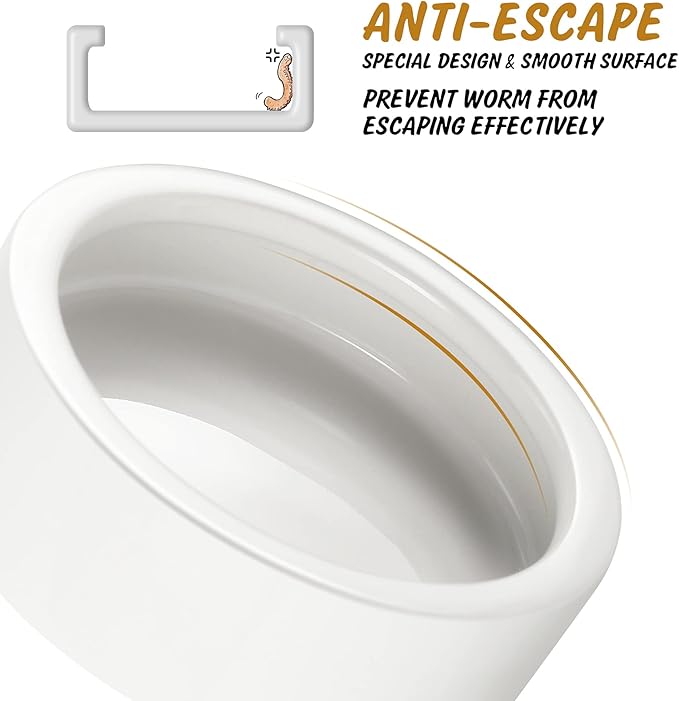 Ceramic Reptile Bowl - Mealworms & Cricket Dish for Gecko, Bearded Dragon & Chameleon - XL(5in) Anti-Escape Feeder