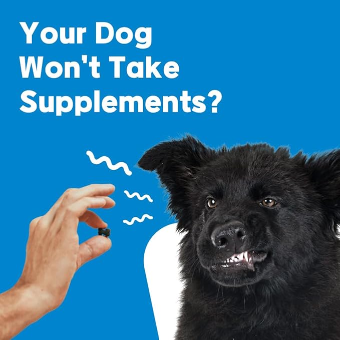 NeLM Supplements & Vitamins for Dogs - Mouth Dissolving Strips - Multivitamin, Eye, Hip & Joints, Gut, Dental Support - Pet Health Supplies - 30 Stips(Pack of 1) (30 Strips (Pack of 1), Dental Care)