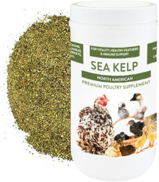 Kelp for Chickens & Duck Feed (1 Pound): Chicken Vitamins | Chicken Supplements | Vitamins for Chickens | Pampered Chicken Mama