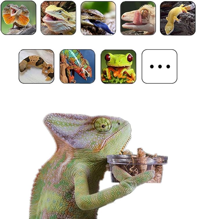 100Pcs Crested Gecko Food Dish, 0.5oz Plastic Reptile Feeding Cups