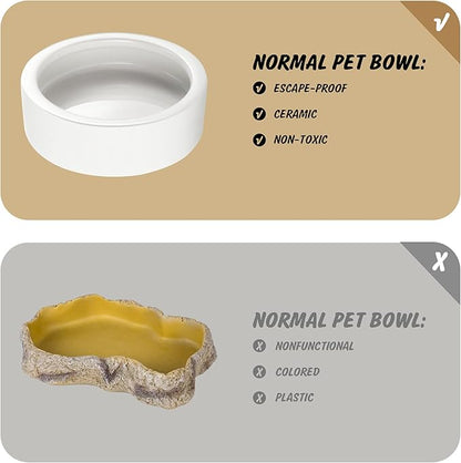Worm Dish - Large 2 Pcs Reptile Food & Water Bowl for Lizard, Gecko, Chameleon, Hermit Crab, Bearded Dragon & More - Ceramic Anti-Escape Mini Reptile Feeder