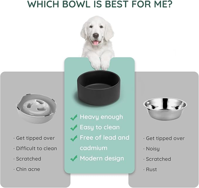 SPUNKYJUNKY 42OZ Ceramic Dog and Cat Bowl, Modern Cute Weighted Food Water Bowl for Replacement Black (1 Pack)