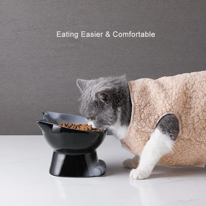Nihow Elevated Cat/Dog Bowls: 6.25 Inch Ceramic Raised Cat Food & Water Bowl Set for Protecting Pet's Spine - Feeding & Watering Supplies for Cat/Small Size Dog - Elegant Gray (6.8 OZ /1 PC)