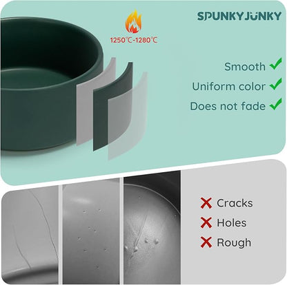 SPUNKYJUNKY 13.5OZ Ceramic Dog and Cat Bowl, Modern Cute Weighted Food Water Bowl for Replacement Green (2 Pack)