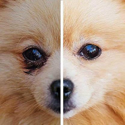 3.5 g (0.125 oz)/2 Sticks