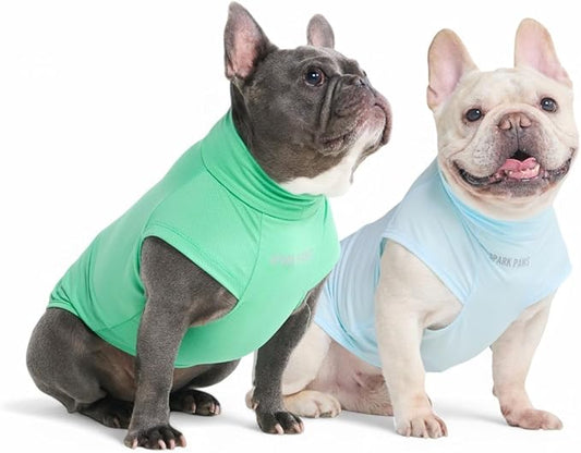 Spark Paws Sunblock Dog T-Shirt, SPF30 Protection, Lightweight Breathable Quick Dry for Dogs with Sensitive Skin - Blue & Mint (Set of 2) - XL