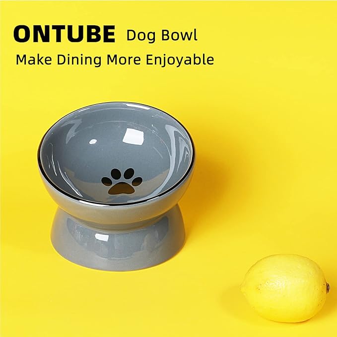 ONTUBE Ceramic Raised Cat Dishes Bowl, Pet Food Bowls,5.3-Inch 10oz (Gray)