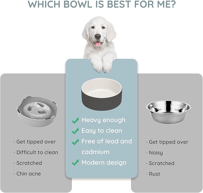 SPUNKYJUNKY 13.5OZ Ceramic Dog and Cat Bowl, Modern Cute Weighted Food Water Bowl for Replacement White-Grey (2 Pack)