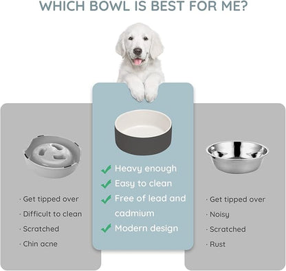 SPUNKYJUNKY 28.7OZ Ceramic Dog and Cat Bowl, Modern Cute Weighted Food Water Bowl for Replacement White-Grey (1 Pack)