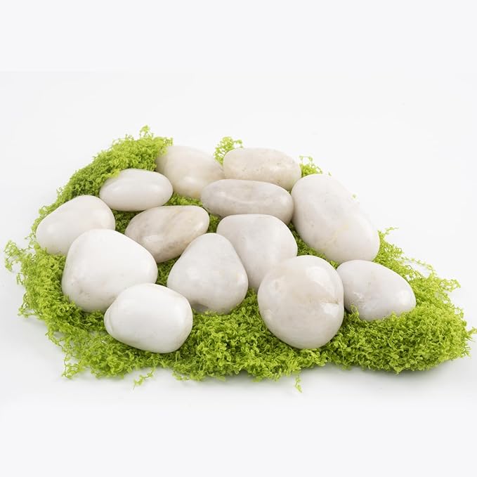 10lbs River Rocks - 1-2 Inch Natural White Decorative Rocks for Potted Plants, River Rocks for Aquariums, and Landscaping (Weight : 10 LB, White)