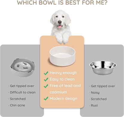 SPUNKYJUNKY 60OZ Ceramic Dog and Cat Bowl, Modern Cute Weighted Food Water Bowl for Replacement White (1 Pack)