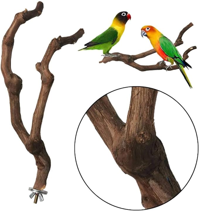 kathson Natural Parrot Perch Bird Stand Pole Wild Grape Stick Paw Grinding Fork Parakeet Climbing Standing Branches Toy Chewable Cage Accessories for Small Budgies Cockatiels Lovebirds 4PCS