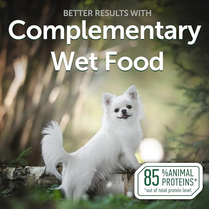 Nature's Protection Wet Dog Food Pouches for Small & Large Breed - High Protein, 24-Pack Soft Dog Food Toppers for Adult Light Coated Dogs (Superior Care - Tuna Fish, 2.46-oz)