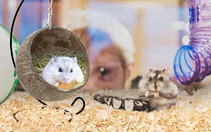 Ranslen Natural Coconut Hamster Hideout Hammock with Molar Toy Suspension Coconut Husk Hamster Bed House with Warm Pad Small Animal Guinea Pigs Habitat Decor Accessories Hanging Loop (Brown)