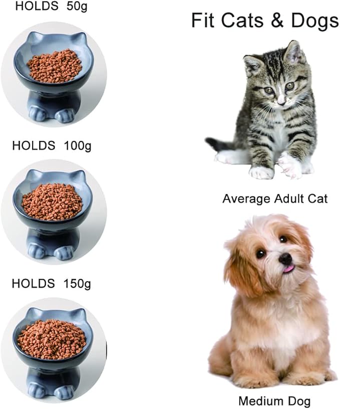 Nihow Elevated Cat/Dog Bowls Set : 6.2 Inch Ceramic Raised Cat Food & Water Bowl Set for Protecting Pet's Spine - Feeding & Watering Supplies for Cat/Small Size Dog - Elegant Gray(2PC)